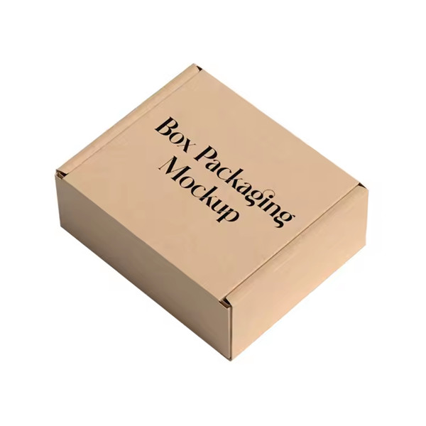 Eco Friendly Packing Shipping Kraft Paper Carton Mailer Box Clothes Product Cardboard Gift Packaging